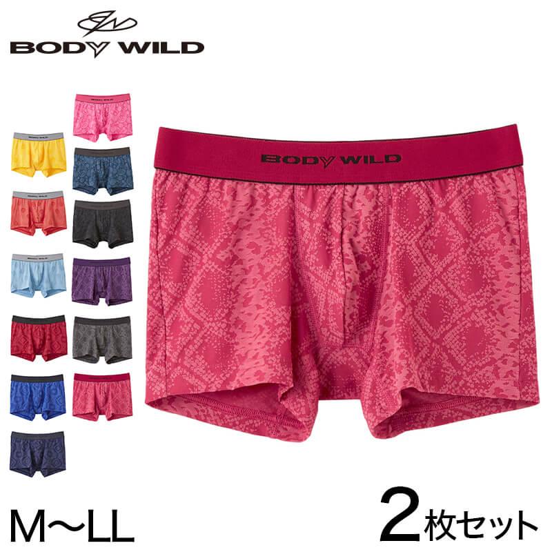 グンゼ ボディワイルド ボクサーパンツ メンズ インナー 下着 BodyWild 2枚セット M～LL (GUNZE BODYWILD 男性 –  スクログ