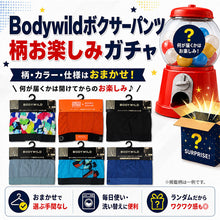 画像をギャラリービューアに読み込む, BODY WILD ボクサーパンツ おまかせ ガチャ ボクサーブリーフ グンゼ M L LL ボディワイルド メンズ 下着 インナー 男性用 紳士 パンツ 柄ランダム 色柄おまかせ 前あき 前とじ 選べない ブランド 肌着 まとめ買い 買い替え デイリー 普段使い
