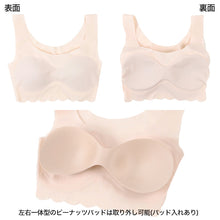 画像をギャラリービューアに読み込む, グンゼ Tuche 縫い目0ハーフトップ M L LL シームレス ブラジャー ブラ ノンワイヤー レディース 縫い目なし タグなし 下着 インナー トゥシェ
