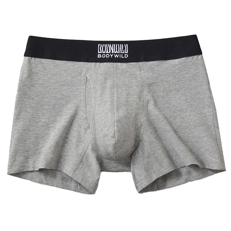 グンゼ ボディワイルド ボクサーパンツ 前開き メンズ 綿 M～LL