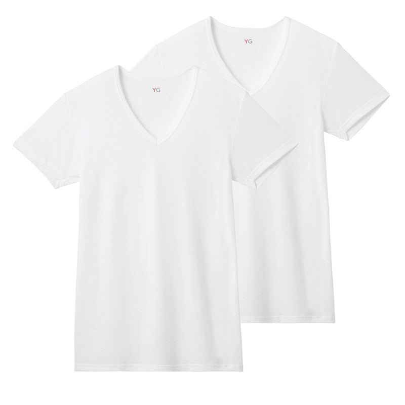 グンゼ YG tシャツ メンズ 半袖 vネック 鹿の子 抗菌 防臭 2枚組 M L LL 吸汗速乾 v首 GUNZE インナーシャツ 男性 紳士 下着 肌着 インナー ニオイ対策 夏 スーツ下 ビジネス ビジネスインナー オールシーズン