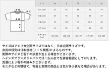 画像をギャラリービューアに読み込む, ビーフィー ヘインズ tシャツ メンズ 半袖 綿100% S～XL Hanes Tシャツ 無地 肌着 下着 綿 コットン インナー 男性 hanes パックT S M L XL
