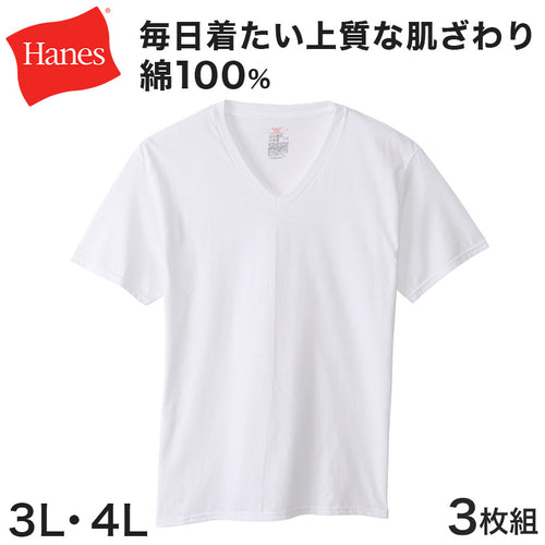 ヘインズ メンズ VネックTシャツ 3枚組 BIG 3L・4L (Hanes Global Value Line 綿100 インナー アンダーウェア 肌着 下着)