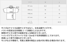 画像をギャラリービューアに読み込む, ヘインズ レディース Tシャツ ポケット トップス 半袖 綿100% コットン 春夏 2枚組 M・L (Hanes 透けにくい 綿 無地 シンプル インナー 女性 ポケット付き セット クルーネック) (在庫限り)
