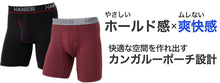 画像をギャラリービューアに読み込む, ボクサーブリーフ メンズ 下着 ヘインズ 前開き パンツ ムレ 無地 大きめ 3L 4L 5L Hanes インナー ニオイ 通気性 ボクサー 男性 メッシュ 伸縮性 ストレッチ
