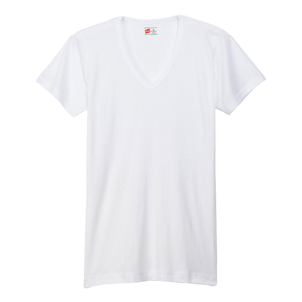 ヘインズ シャツ ビズ魂 メンズ 深Vネック Tシャツ 2枚組 M～LL (Hanes BIZ DAMASHII 抗菌防臭 吸汗速乾 深V 長め丈) (在庫限り)