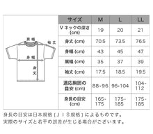画像をギャラリービューアに読み込む, ヘインズ シャツ ビズ魂 メンズ 深Vネック Tシャツ 2枚組 M～LL (Hanes BIZ DAMASHII 抗菌防臭 吸汗速乾 深V 長め丈) (在庫限り)
