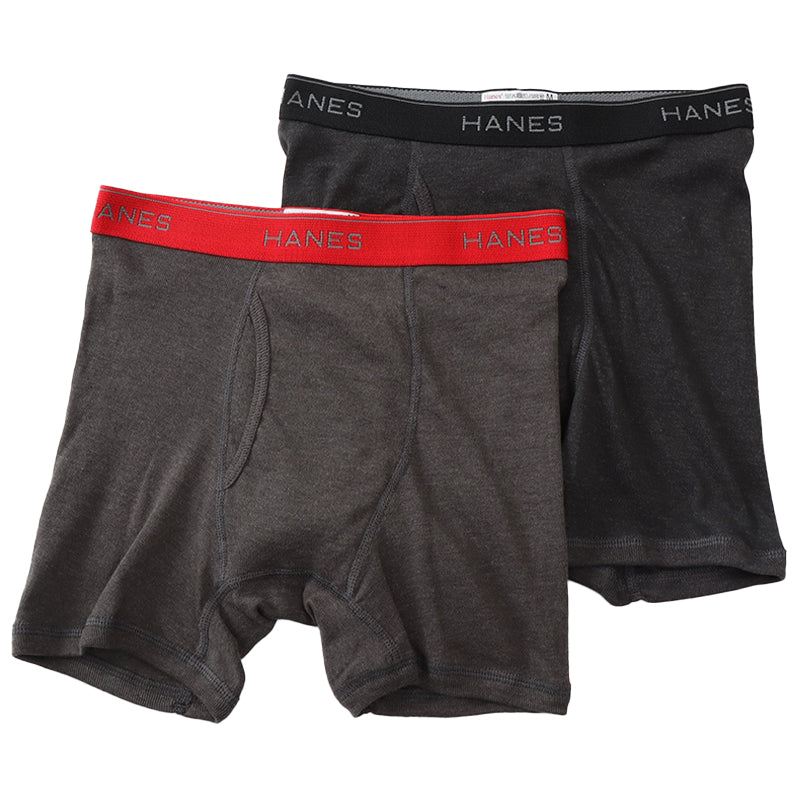 ヘインズ ボクサーパンツ メンズ 前開き 2枚組 M～LL 下着 綿 ボクサーブリーフ HANES パンツ 男性 hanes ボクサー 2枚セット 高校生 中学生 M L LL インナー