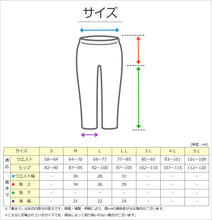 画像をギャラリービューアに読み込む, 婦人 100cc対応 安心快適ショーツ M～LL (大失禁 尿漏れ レディース パンティー 吸水)
