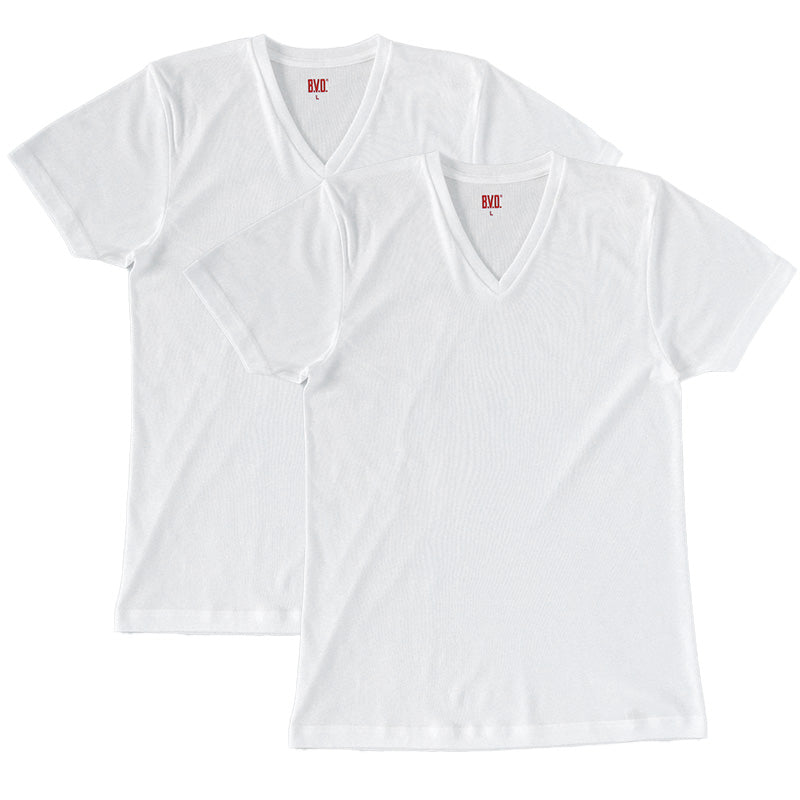 BVD メンズ インナーシャツ 半袖 vネック tシャツ 下着 2枚組 M～LL 肌着 インナー v首 春夏 防臭 ホワイト 白 M L LL