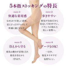 画像をギャラリービューアに読み込む, 5本指 ストッキング レディース 段階着圧 抗菌 防臭加工 M-L L-LL シアータイツ 引き締め 美脚 蒸れにくい パンティストッキング ムレ対策 レヴアル 女性 婦人 くつ下 むくみ
