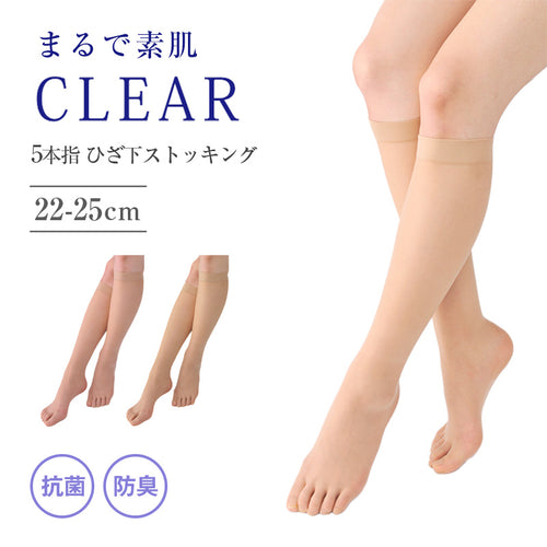 5本指 ストッキング ひざ下 レディース 抗菌 防臭加工 22-25cm ソックス 美脚 透明感 光沢 丈夫 蒸れにくい パンスト パンティストッキング ムレ対策 レヴアル 女性 婦人
