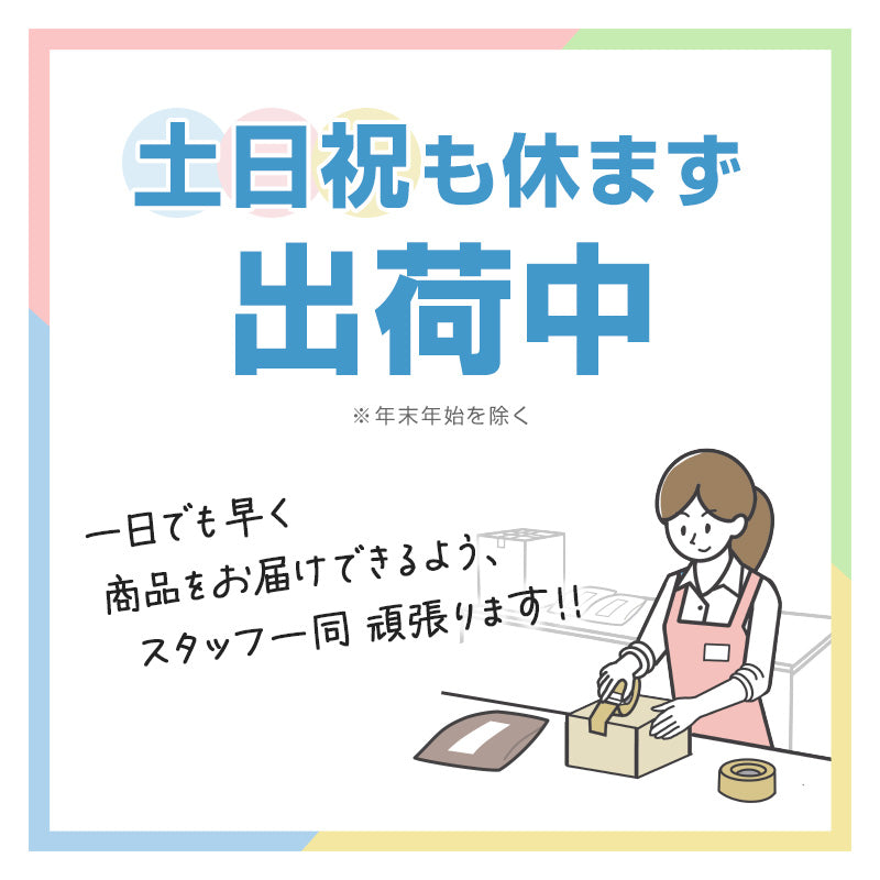 ブルマ 体操服 内ポケット付き 大きいサイズ S～3L (ブルマー