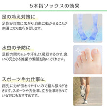 画像をギャラリービューアに読み込む, 5本指ソックス メンズ ゆったり 締め付けない 5本指靴下 綿 クルー丈 24-27cm・27-29cm 五本指ソックス 靴下 ソックス カラフル 男性 日本製 抗菌防臭 吸汗 丈夫
