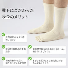 画像をギャラリービューアに読み込む, ヘンプ 麻 靴下 5本指 ソックス メンズ レギュラー丈 日本製 24-27cm 奈良 通気性 丈夫 涼しい 蒸れない  吸湿性 防臭 さらさら サラサラ ユニセックス レディース アウトドア 24cm 25cm 26cm 27cm (在庫限り)
