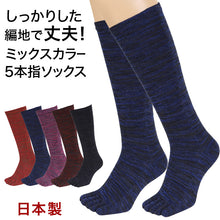 画像をギャラリービューアに読み込む, 5本指靴下 ハイソックス レディース 22-24cm (5本指ソックス 五本指 ソックス 女性 22cm 23cm 日本製 丈夫 カラフル) (在庫限り)
