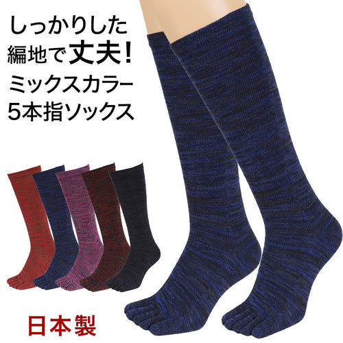 5本指靴下 ハイソックス レディース 22-24cm (5本指ソックス 五本指 ソックス 女性 22cm 23cm 日本製 丈夫 カラフル) (在庫限り)
