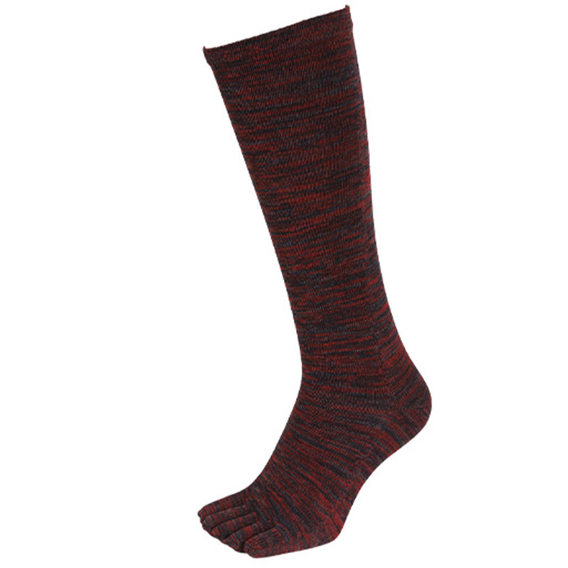 5本指靴下 ハイソックス レディース 22-24cm (5本指ソックス 五本指 ソックス 女性 22cm 23cm 日本製 丈夫 カラフル) (在庫限り)