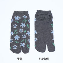 画像をギャラリービューアに読み込む, 【 お得 】 レディース足袋ソックス スニーカー丈 メッシュ 6足組 23-24cm (レディース スニーカー丈 綿混 足袋 タビ 足袋靴下 足袋型靴下 くつ下 くつした 日本製) (在庫限り)
