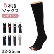 画像をギャラリービューアに読み込む, 5本指 ハイソックス レディース 22cm 23cm 23.5cm 24cm 24.5cm 25cm ( 五本指 靴下 長め ロング 綿混 くつ下 くつした )
