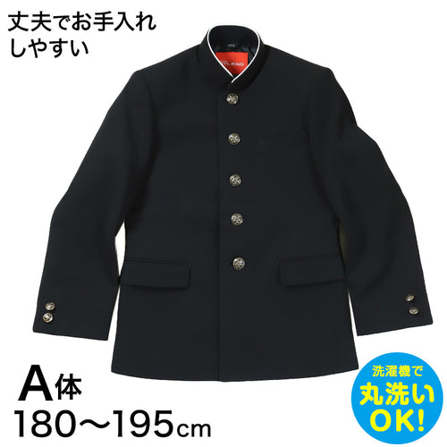 学生服 詰衿上衣 ソフトラウンドカラー ストリード 180cmA～195cmA ( 制服 学校 学生 高校生) (送料無料) (取寄せ)