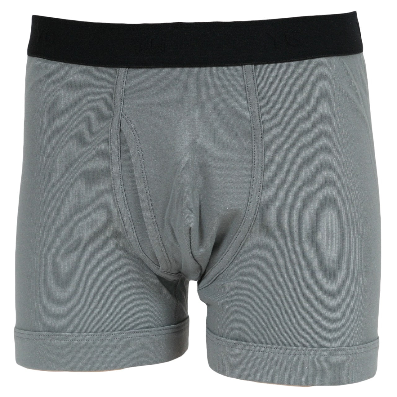 パワーガート グレー Mサイズ ボクサーブリーフ 安心快適ボクサーブリーフ（紳士）(M 細ボーダー): 愛情介護